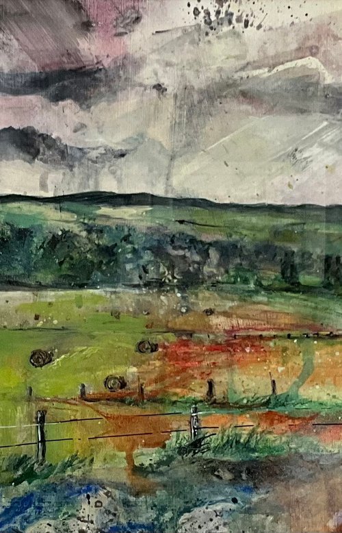 Pitlochry field by Claire Williamson