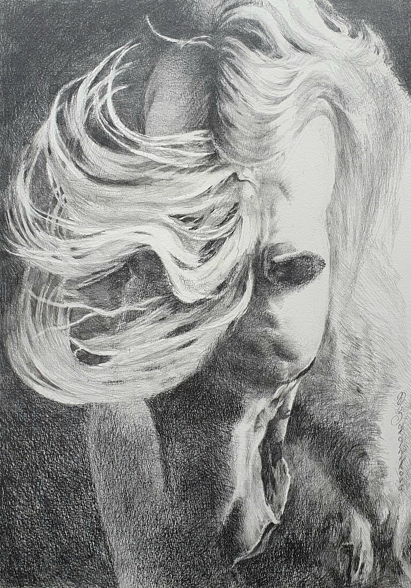 Photorealistic Animal Pencil Drawing By Sonata Art, 16 X 20", Savage Horse Mane Drawing, Original Artwork