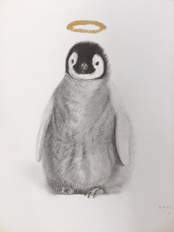 Penguin chick drawing
