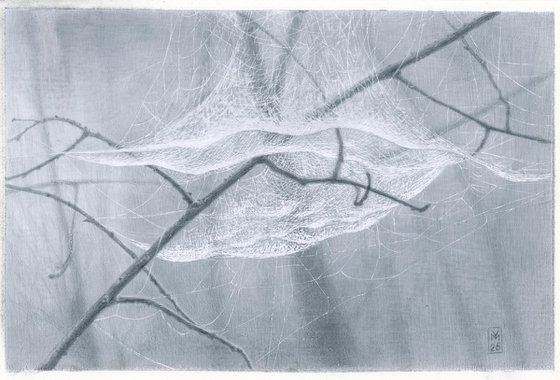 Spiderweb: Silk Dome