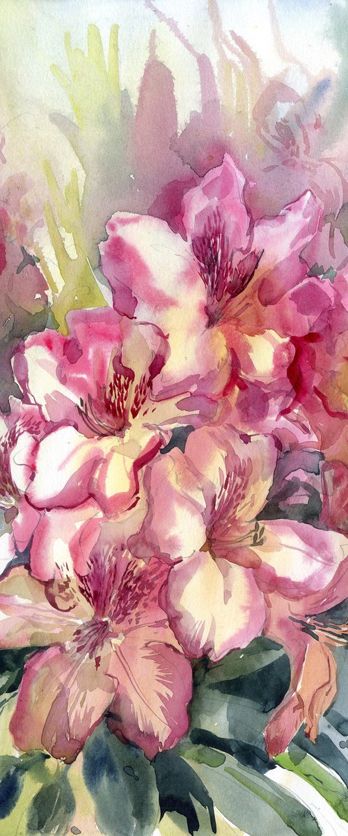Pink rhododendron bush by SVITLANA LAGUTINA