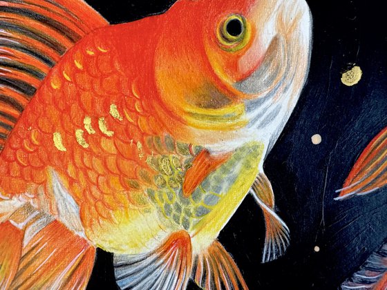 Goldfish