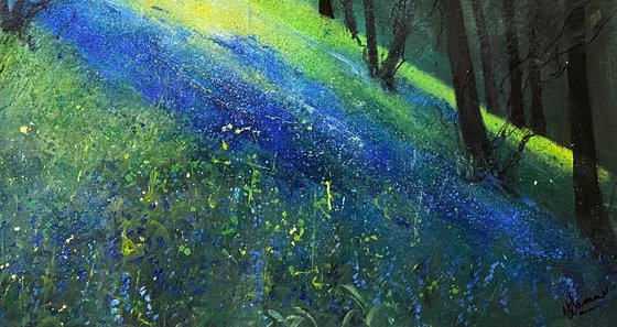 Spring, Light Through Bluebell Woodland