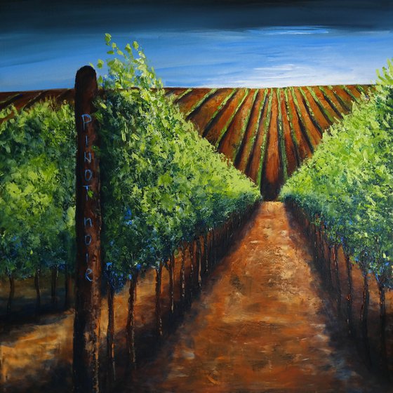 Vineyard - Fields and Colors Series