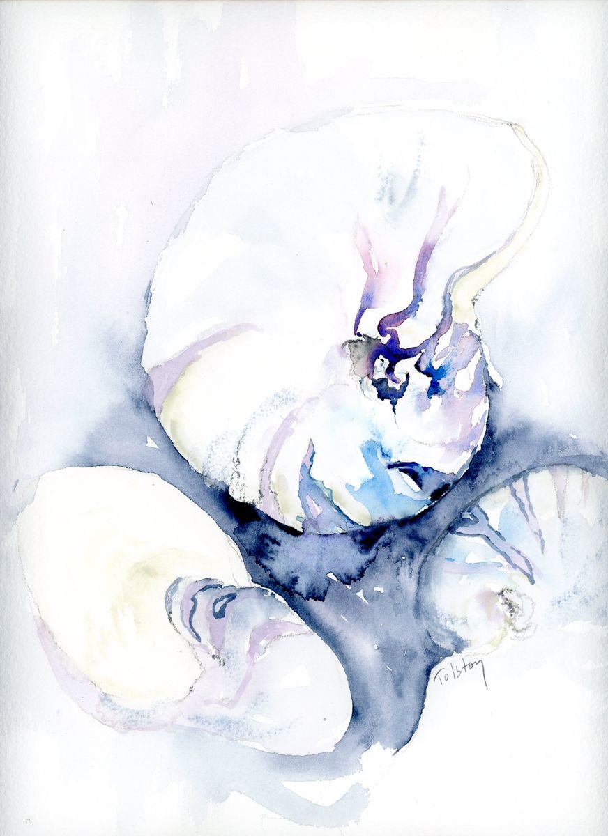 Alex Tolstoy | Original Watercolour | Nautilus Shells | 20 X 30Cm | Artwork For Sale On Artfinder