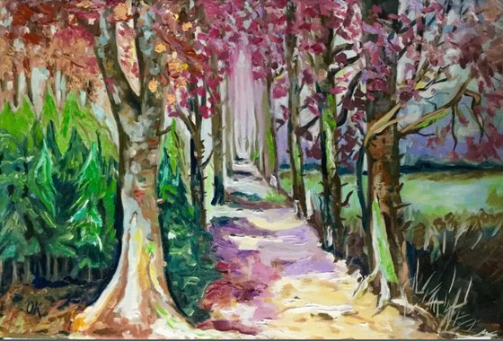 Forest . Summer . On sale