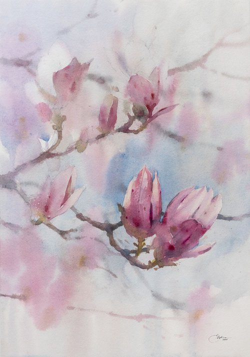 Magnolia by Ekaterina Pytina