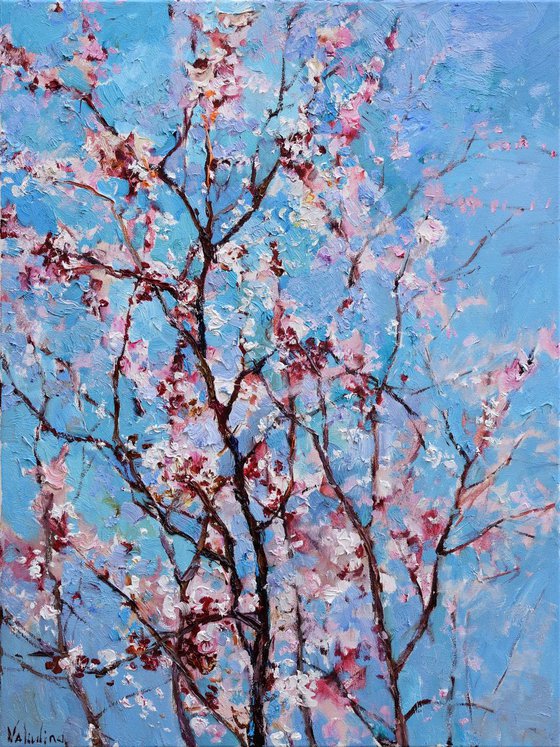 Flowering apricot tree - Original oil painting