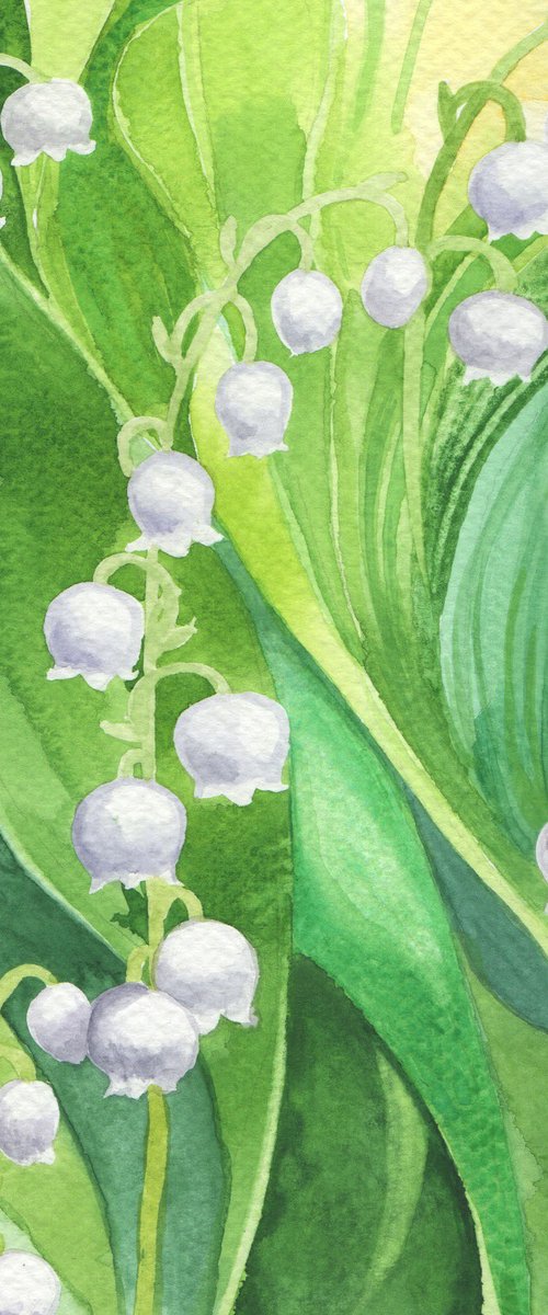 Lilies of the valley by Jolanta Czarnecka