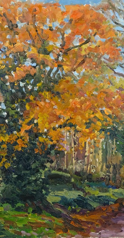 Autumn Oak, TigTag Lane by Jeff Parker