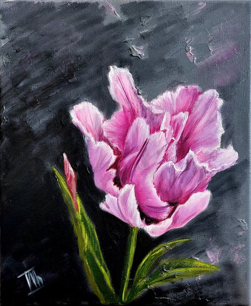 Pink Glow Tulip by Ira Whittaker