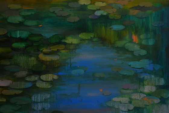 Lily pond. Solstice