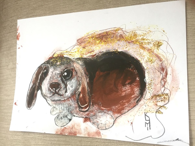 Bunny Cute Animals Fine Art Animal Art Animal Po Artfinder