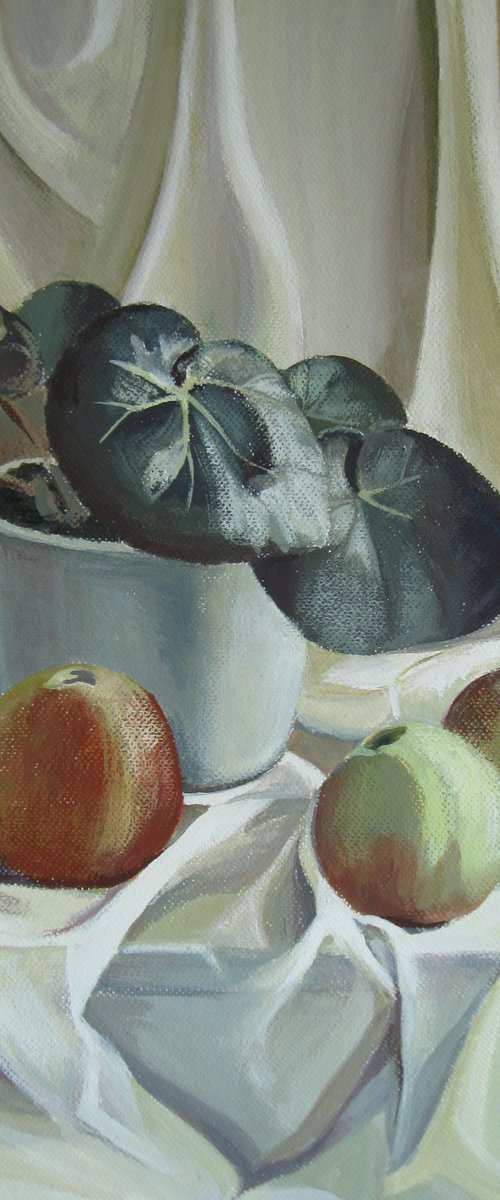 Apples and plant by Elena Oleniuc