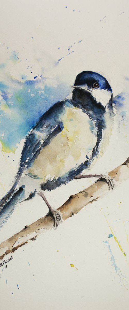 The Great Tit by Tomasz Mikutel