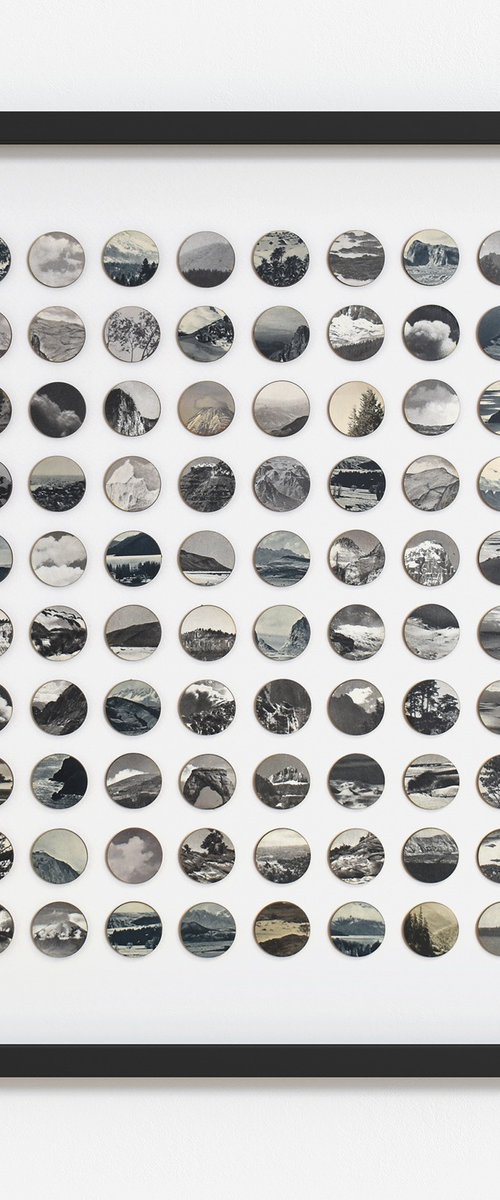 Wildlands by Amelia Coward