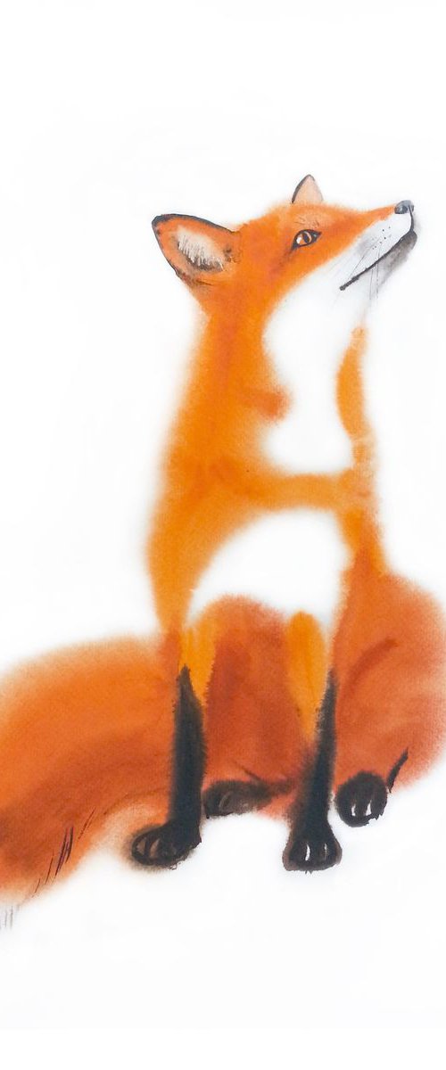 Red Fox Watercolor by Olga Beliaeva Watercolour