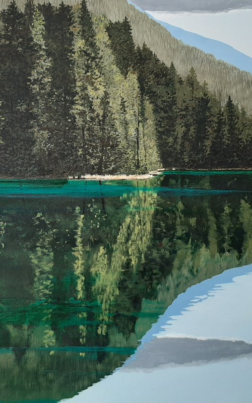 Reflections in Nature by Anne Shaughnessy