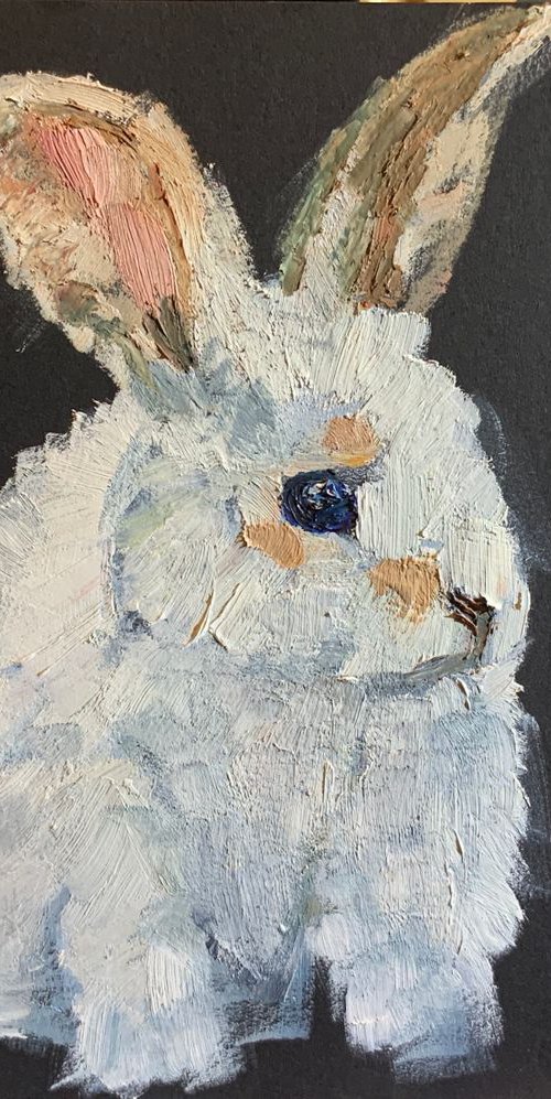 Rabbit by Ryan  Louder