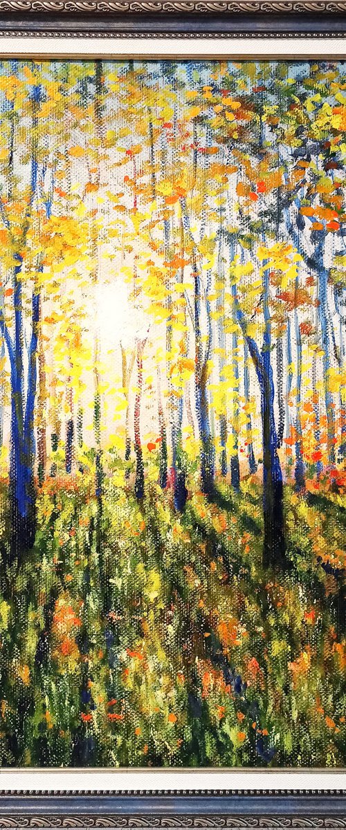 Autumn colors by Oleh Rak