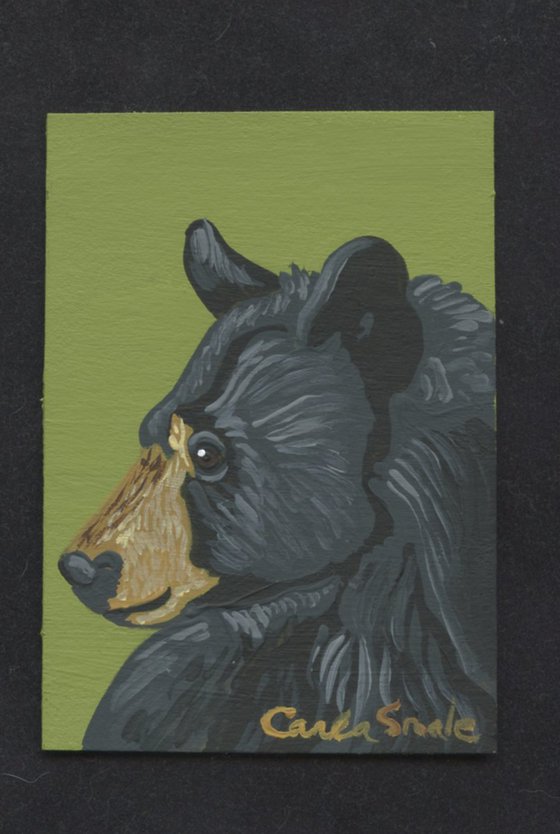 Black Bear