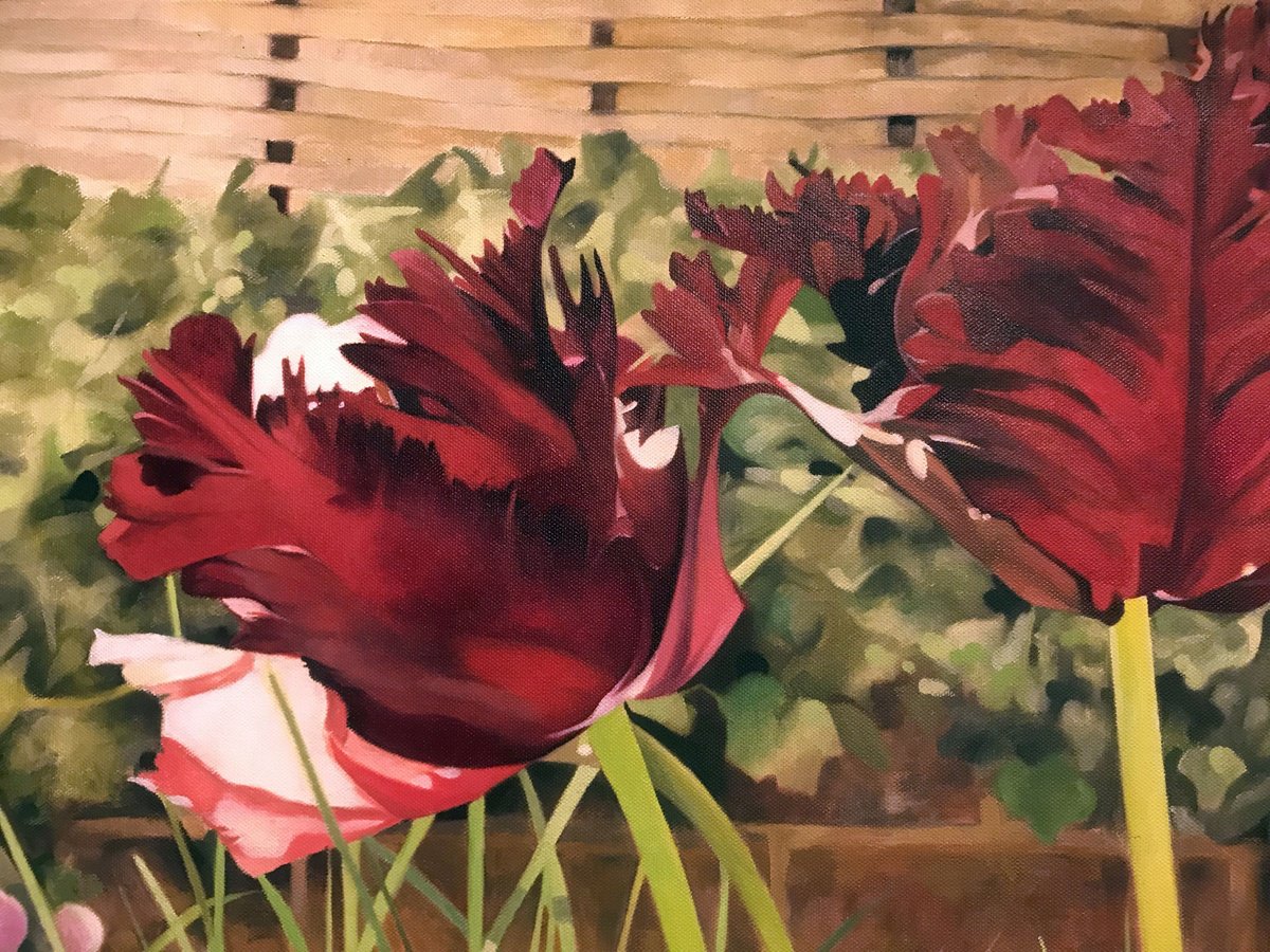Photorealistic Botanical Oil Painting By Andrew Lander, 36 X 24, Parrot Tulips, Original Artwork