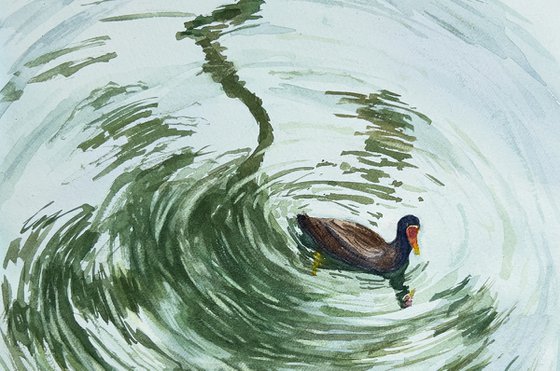 Duck swimming in palm tree reflection