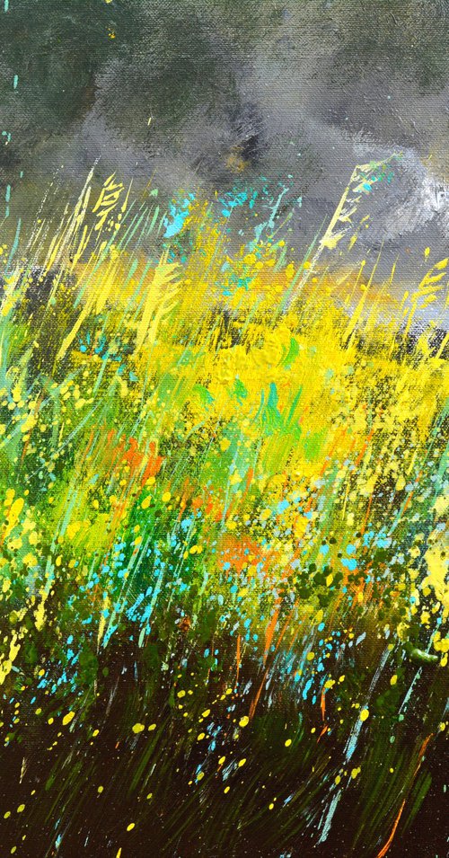 Wild herbs in my countryside by Pol Henry Ledent