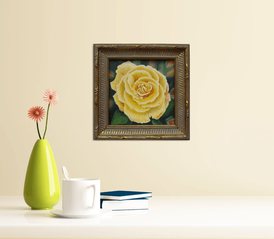 Rose in the Garden