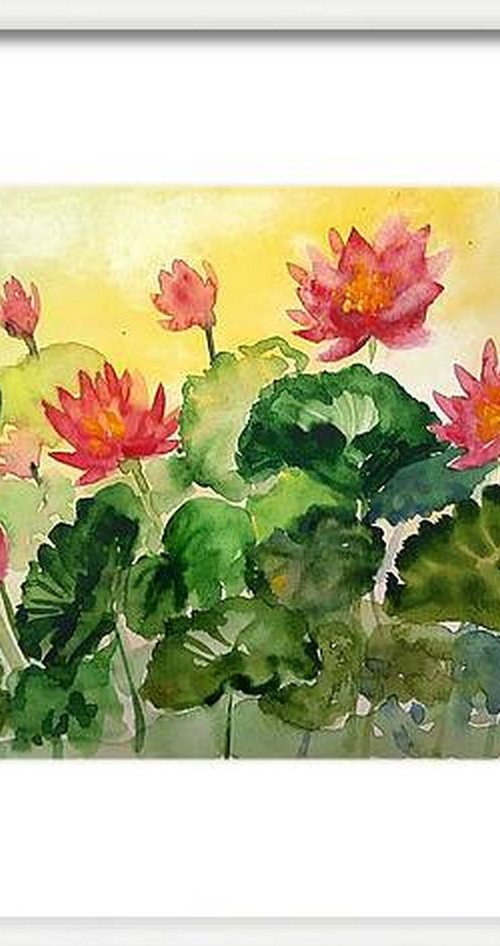 Sunset Water lilies - 1 by Asha Shenoy