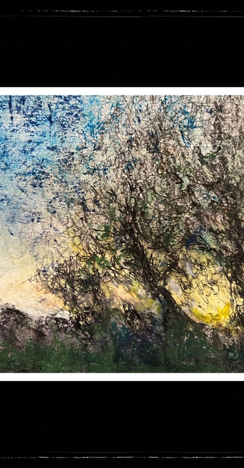 Grove at Dusk by Maxence Ma