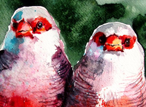 Birds