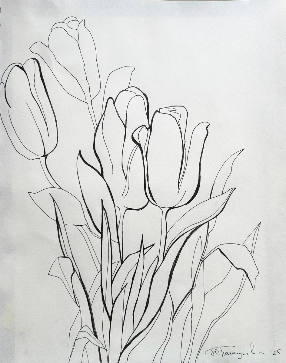 Botanical Ink Drawing By Yuliia Pastukhova, 10 X 12", Tulips Graphic, Original Artwork