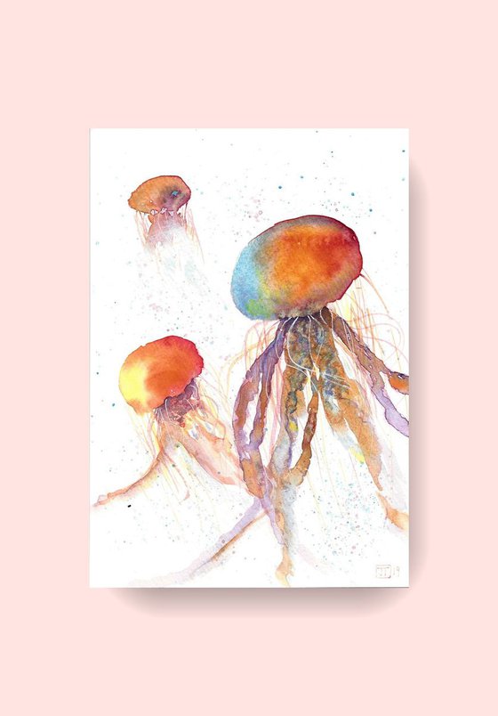 Colorful jellyfish