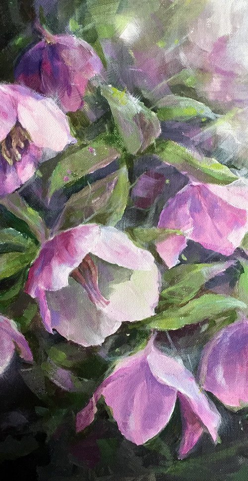 Hellebores by Aurelija Kilinske