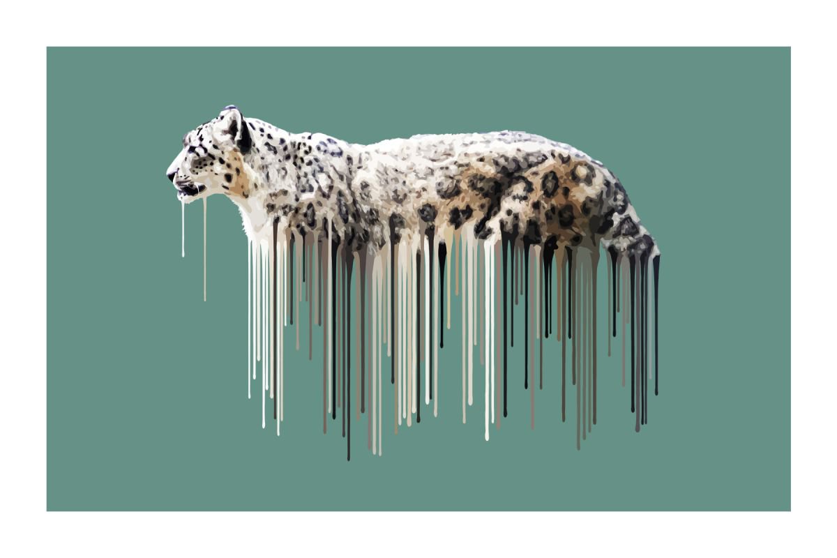 Snow Leopard - Sage by Carl Moore