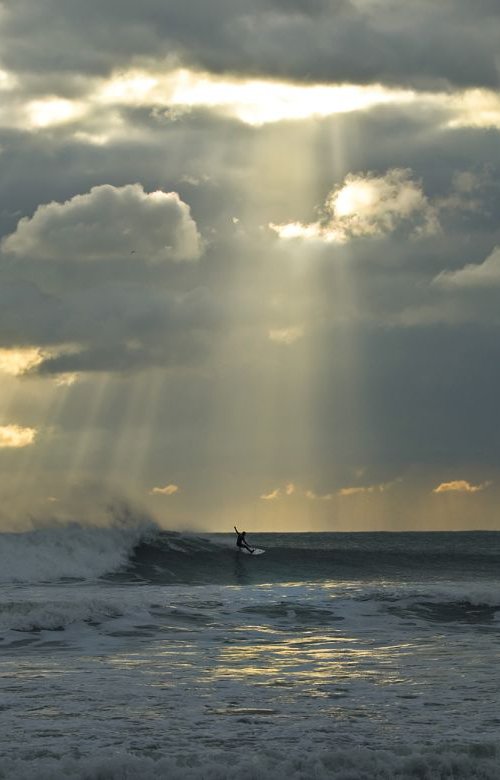 IN THE SPOTLIGHT by Andrew Lever