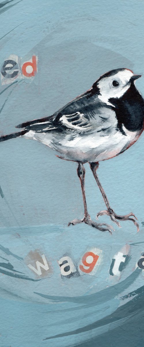 Pied wagtail, Original bird painting, British wildlife, Bird watercolour, Whimsical, watercolor, loose painting, by Anjana Cawdell
