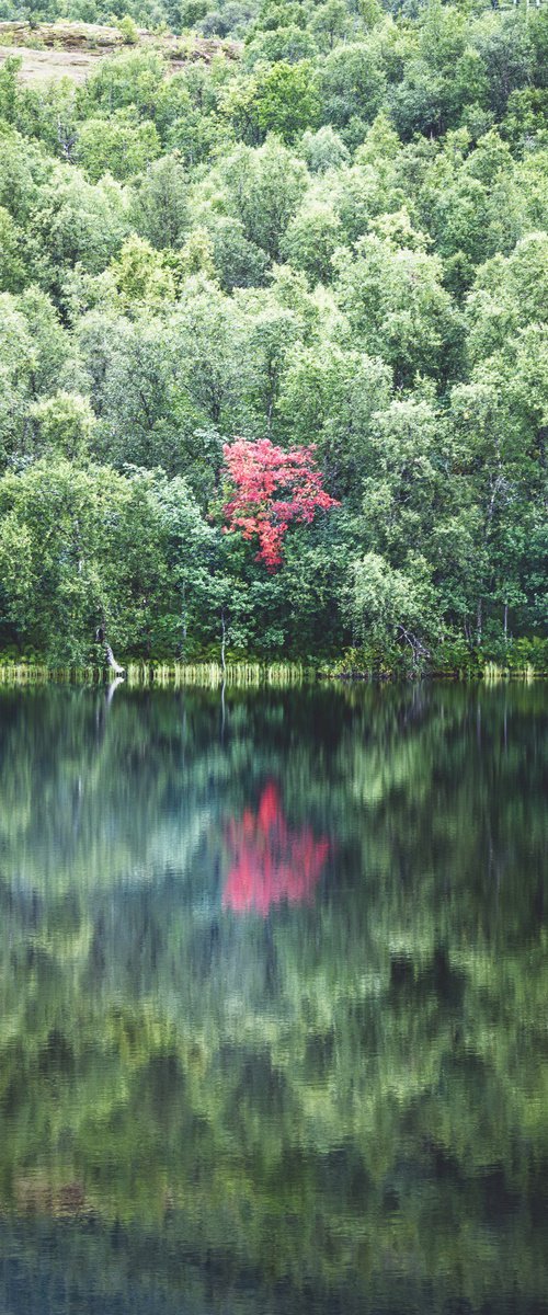 A RED DROP by Fabio Accorrà