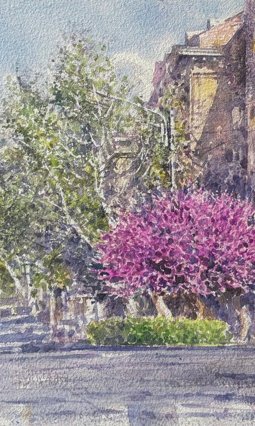 Yerevan's Spring Corner by Peto Poghosyan