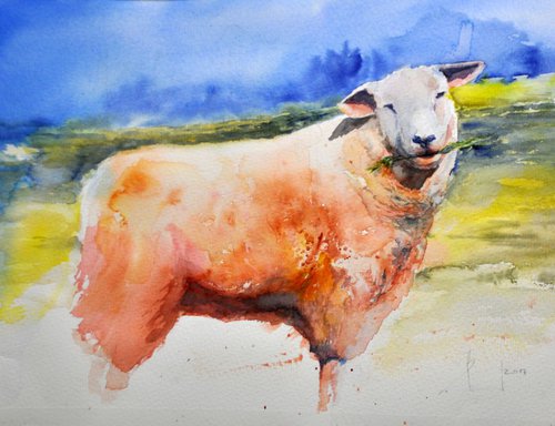 SHEEP original watercolour 34X25 by Beata van Wijngaarden