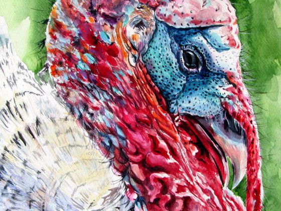 Turkey
