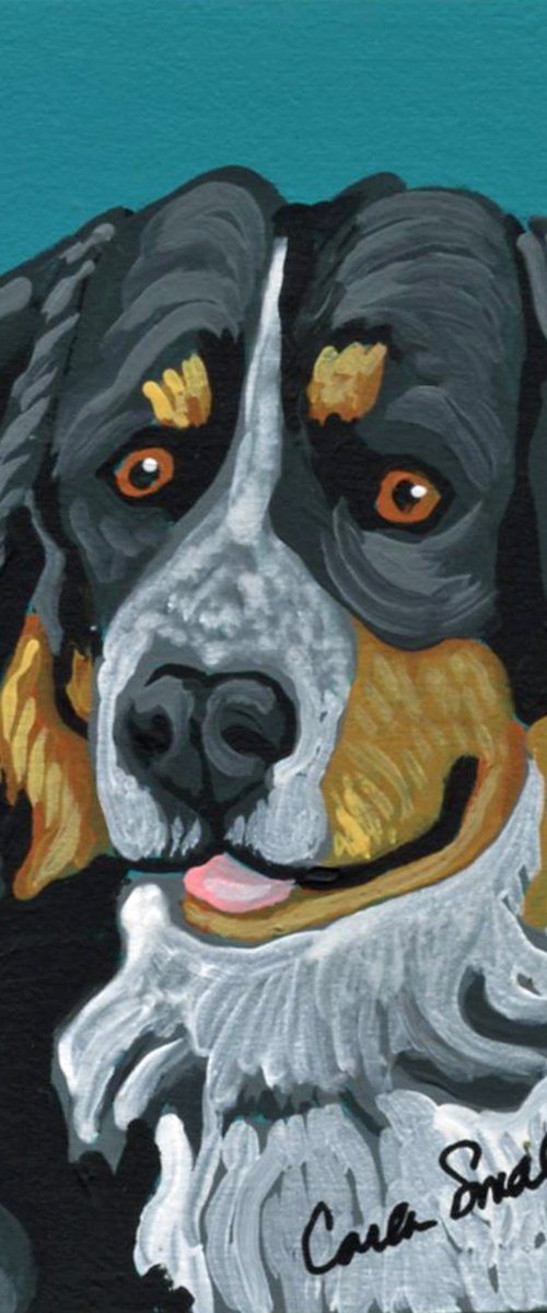 Bernese Mountain Dog by Carla Smale