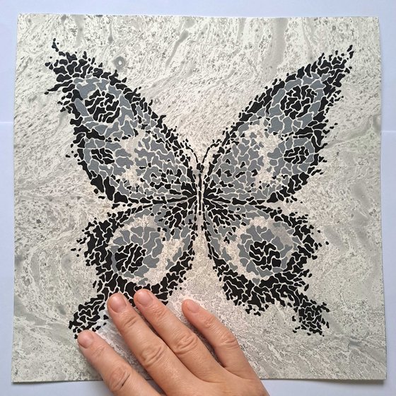 Butterfly «Night Wind»