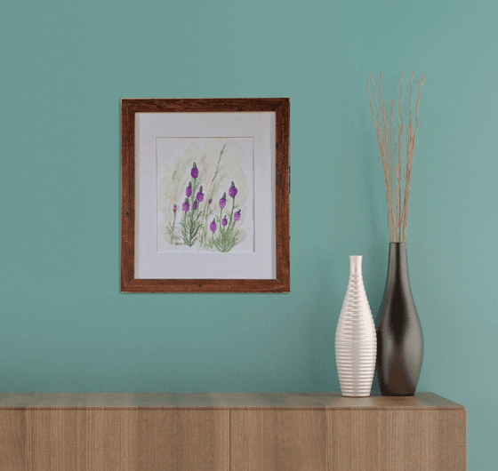 Purple Prairie Clover