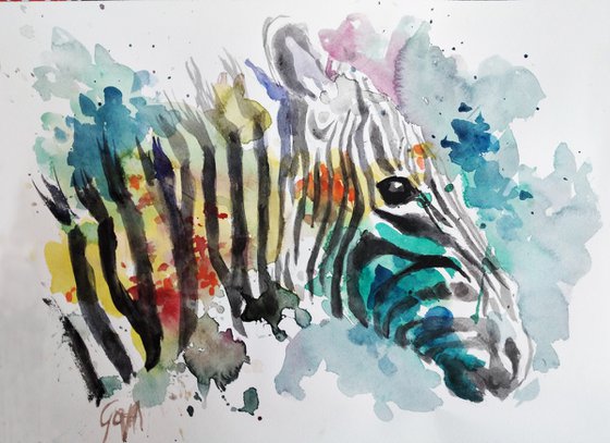 COLOURFUL ZEBRA