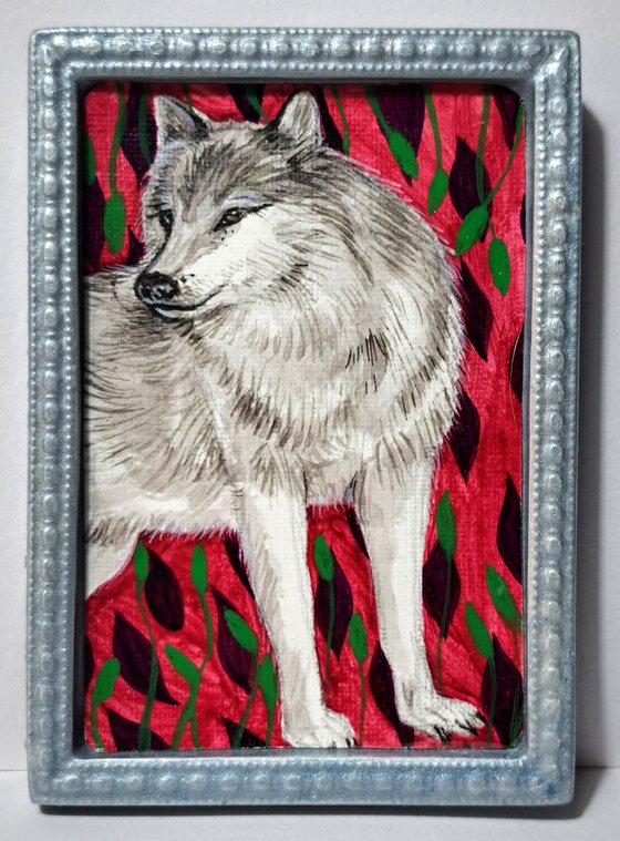 gray wolf