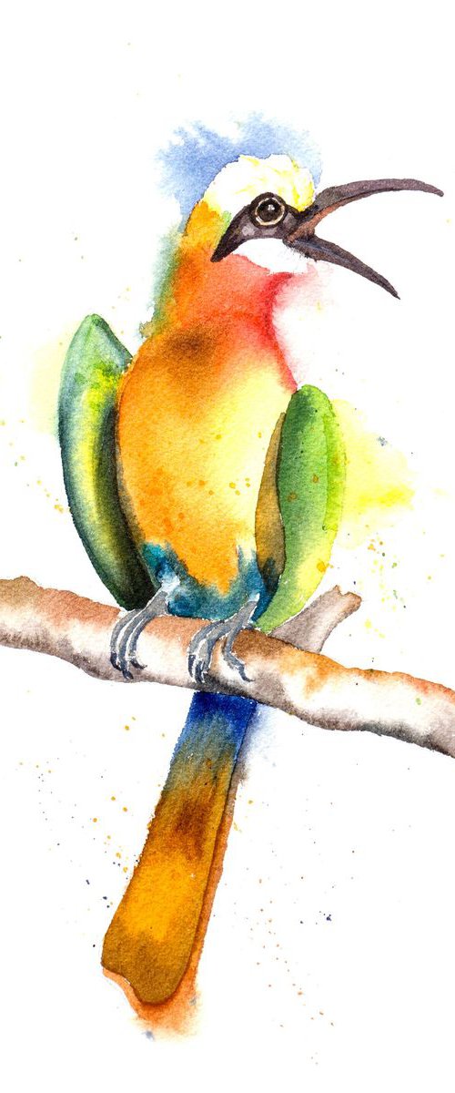 Bee eater bird Original Watercolor Painting by Olga Tchefranov (Shefranov)
