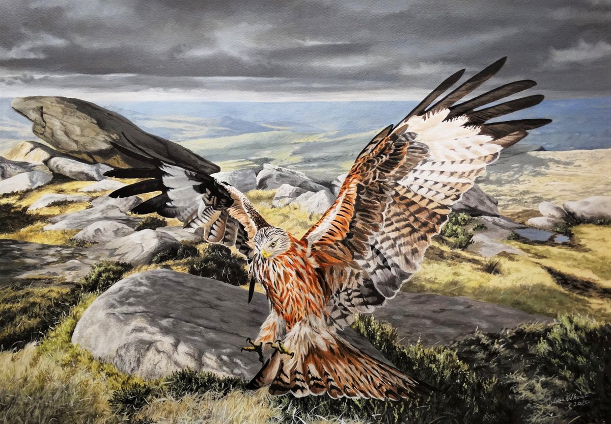 Realm of the Red Kite by Julian Wheat