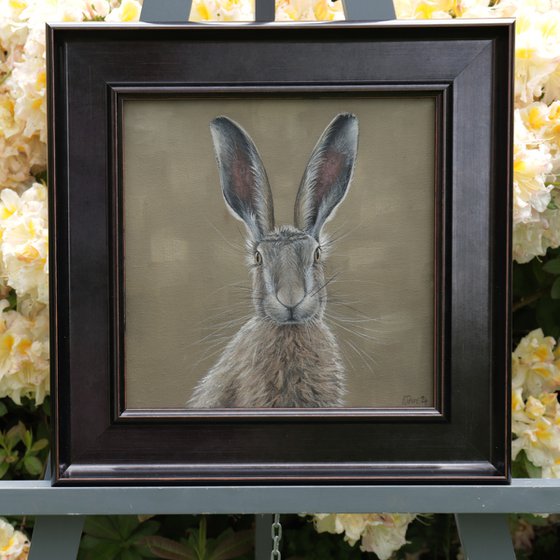 Portrait of a Hare I